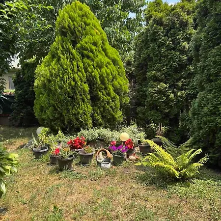 Idila Guest house 3*